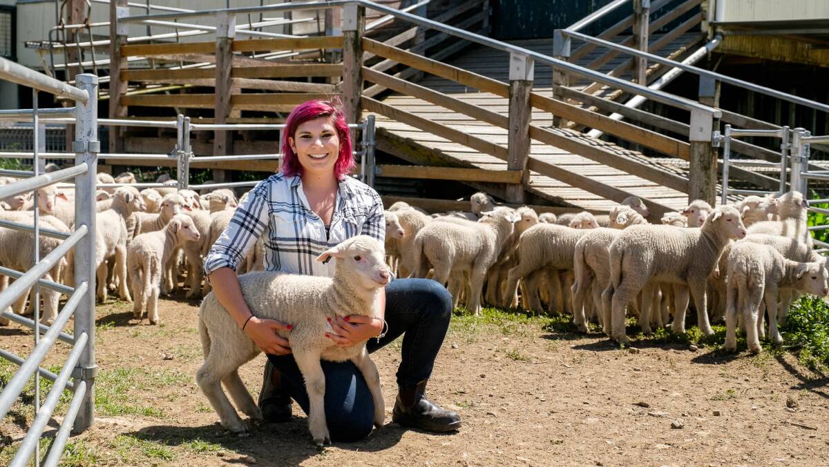 University of New England post-doctoral fellow Danila Marini will be a guest speaker at the Angaston Ag Bureau hogget competition, on training sheep in virtual fencing systems.
