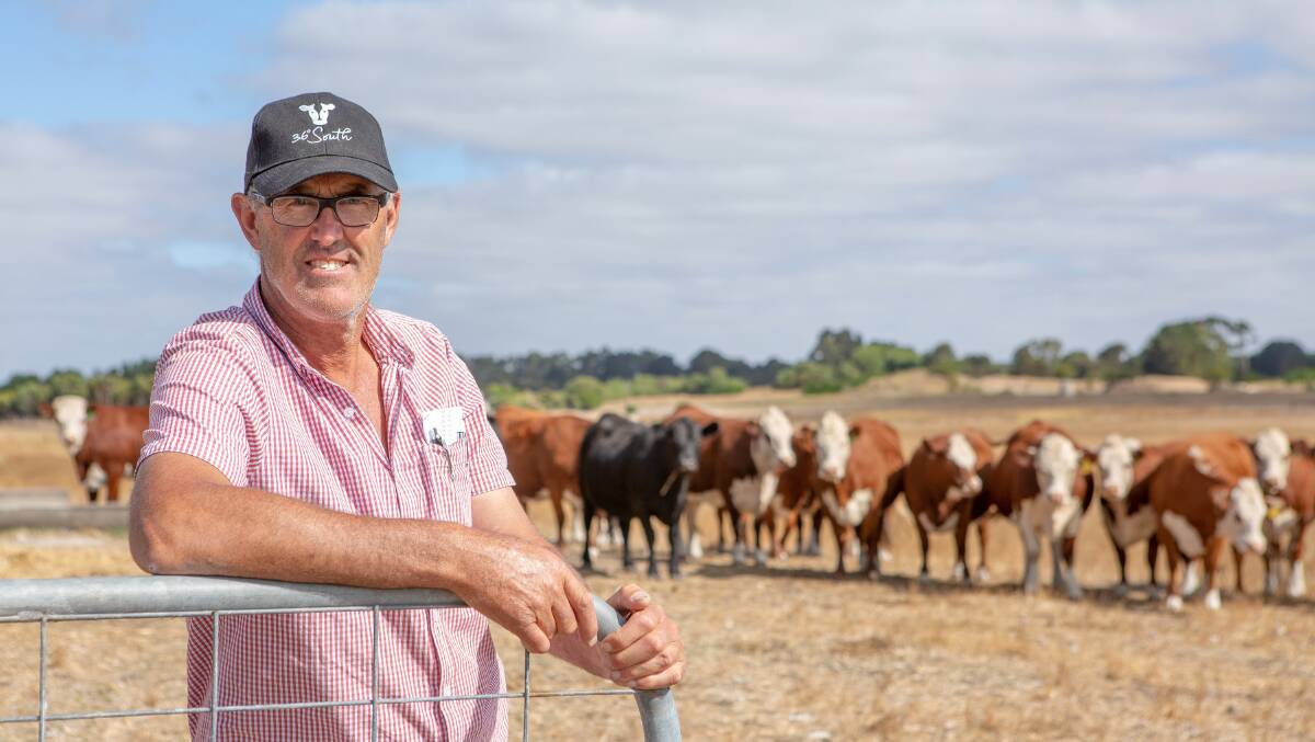 PRODUCER SUPPORT: Chris Bateman, Furner, says the best option for attracting more cattle to the Millicent saleyards is to move the fortnightly market from a Thursday to a Monday. He hopes the facility can remain open.