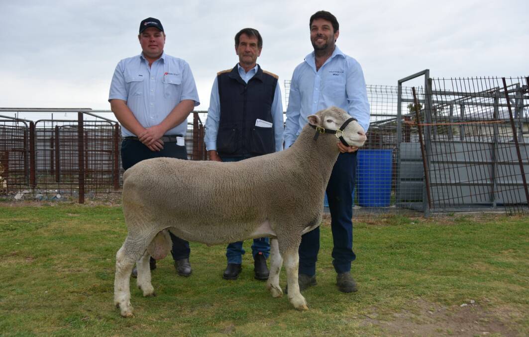 Southern Australian Livestock auctioneer Mat MacDonald and Rod and Brad Davies, Wrattenbullie stud, Naracoorte, with the $5600 top price ram which sold to Konongwootong stud. Coleraine, Vic.
