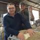 ACCEPTABLE LEVEL: Callowie stud principal Richard Halliday with his son Angus is comfortable with the level of risk he sees in showing his Poll Merinos at the Royal Adelaide Show.
