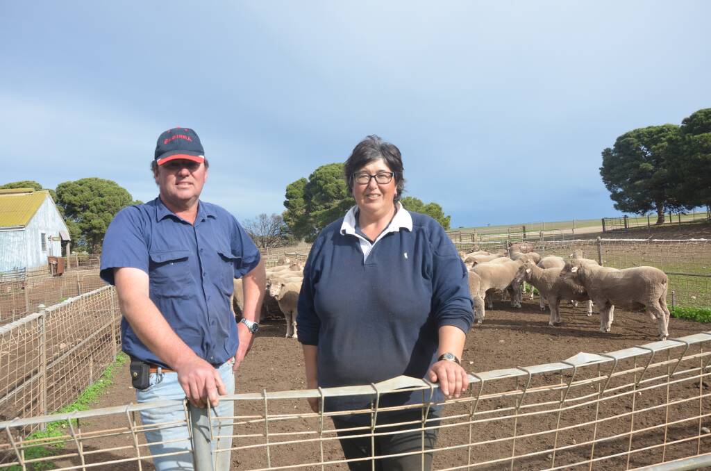MILESTONE: Craig and Lynda Farrow, Babirra Poll Merino and Dohne studs, Stansbury, are celebrating their 60th annual sale on August 17, with 82 rams in their auction.