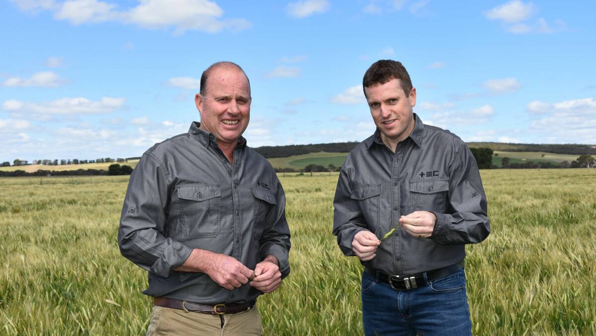 EXPERTISE: Thomas Elder Consulting agriculture business management consultant Bruce Creek and head of technical services Graham Page.