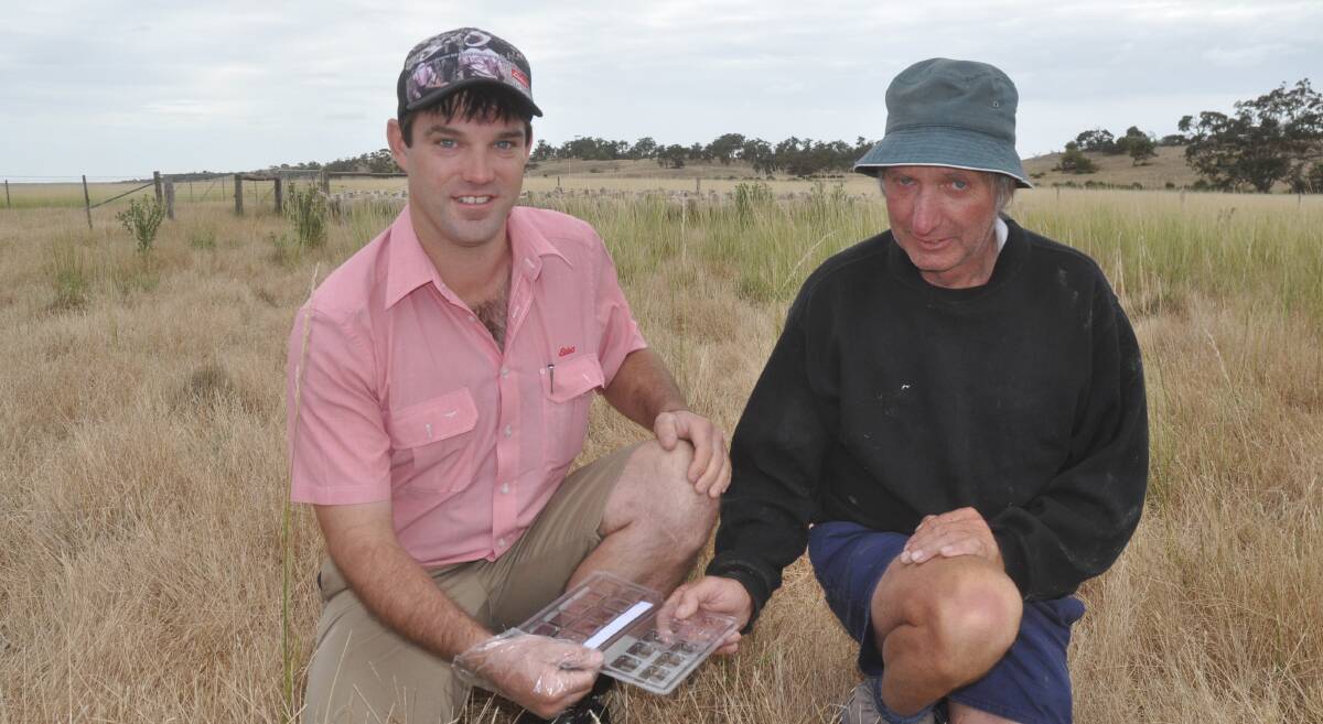 TESTING TIMES: Elders livestock production advisor Brendan Voss collecting a sample for a worm egg test with Lucindale farmer Scott Davidson.