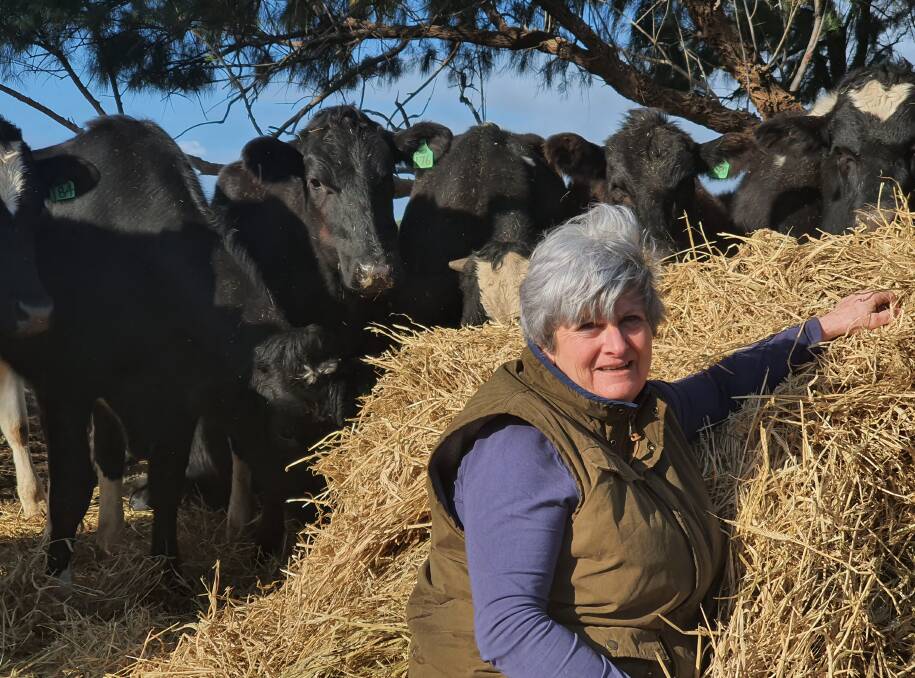 FRUSTRATED: Wellington farmer Coral Stephenson is frustrated by a lack of progress made by SAPOL after she reported 10 PTIC heifers missing earlier in the year.