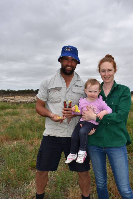 ALTERNATIVE SYSTEM: Mark and Kate Wheal (pictured with daughter Lily), Wheal Farms, Beachport, are trialling the use of ultra high frequency tags in their sheep. They want the industry to be open to the latest technology.