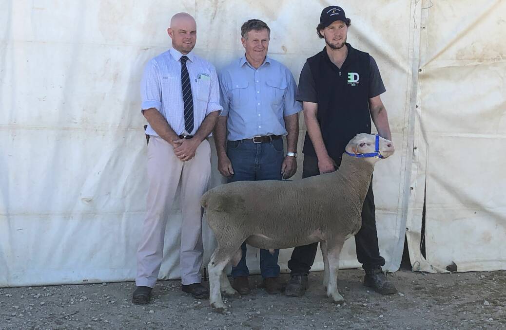KI SUPPORT: Spence Dix & Co auctioneer Luke Schreiber with top price buyer Allan Florance, Kingscote and the $2200 ram being held by Elton Downs' Chris Rudiger.