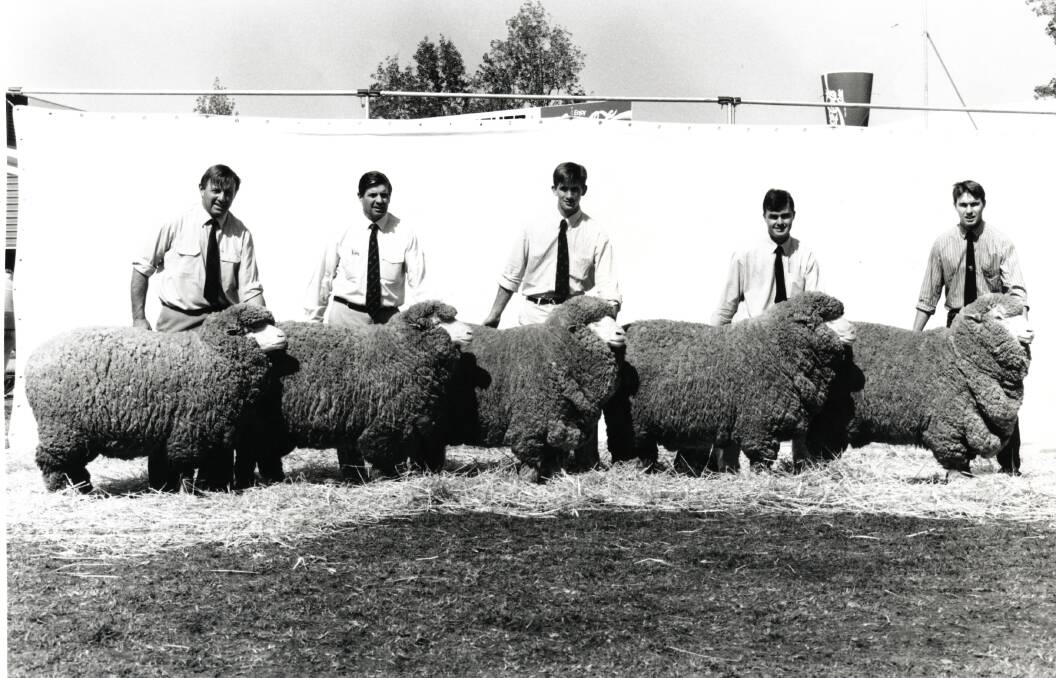 Over many decades the Ashby family grew the Ashrose stud into one of the nation's influential Merino studs.
