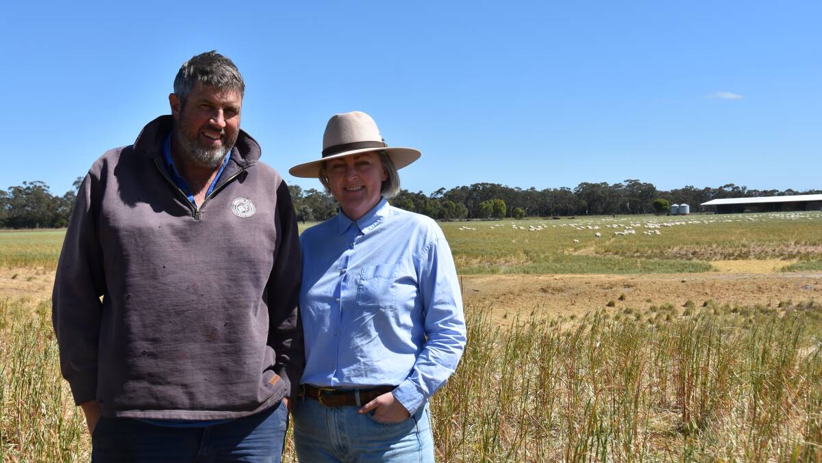 Jeremy Boddington and Renea Virgo-Boddington stand in the paddock with some of their ewe lambs, which will be offered in the Naracoorte blue ribbon first-cross ewe lamb sale. The Boddingtons say the lambs are as good as they have ever been. Picture by Catherine Miller