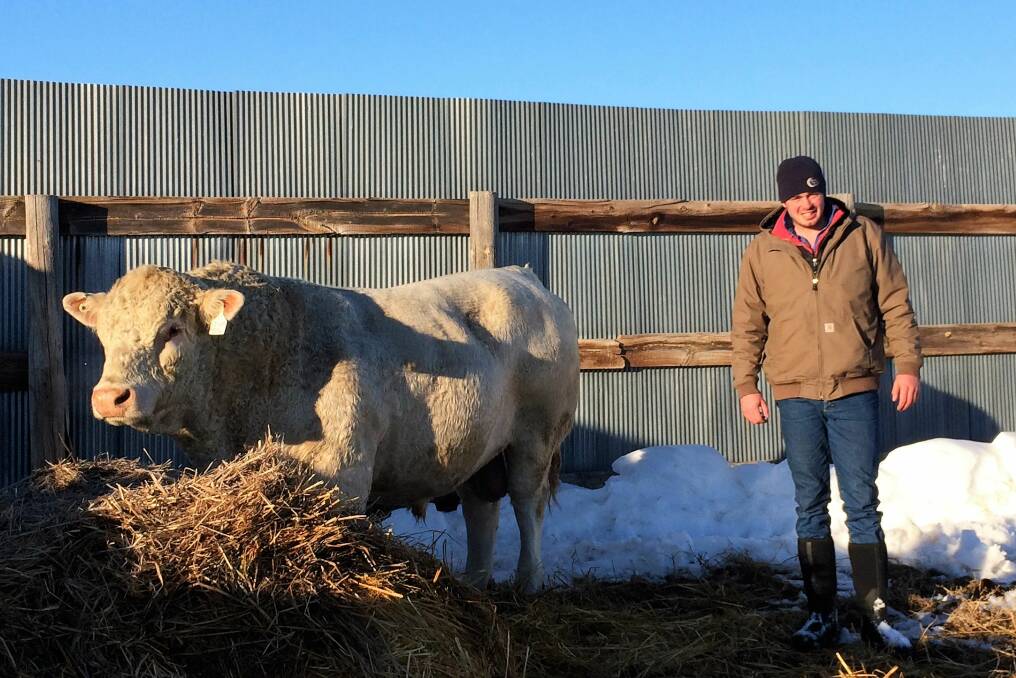 OVERSEAS EXPERIENCE: James Pitchford, Keith, with Charolais bull Lindskov Theile Ledger at the LT Ranch, South Dakota, United States.