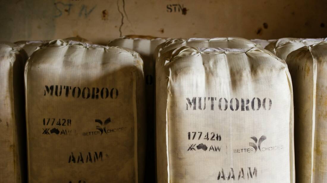 QUALITY FIBRE: Each year Mutooroo Pastoral Company produces about 2000 bales of wool, which are marketed at auction.
