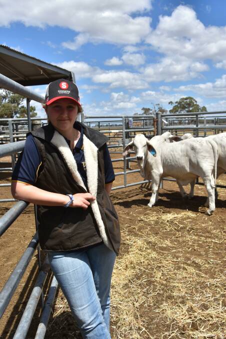 Yerwal Estate stud, Lucindale, is already busy breeding Simmentals and Angus but Lacey Burow has added a third Brahmans. She received two Brahman heifers from Kraken stud, Qld as a thirteenth birthday present late last year which were on display. Lacey is starting her own stud with the aim to breed Brangus. Picture by Catherine Miller