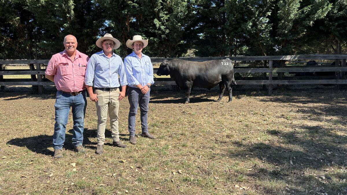 Elders Mount Gambier's Brad Holdman bought the $20,000 sale topper for Mt Gambier client Vince Versace. Also pictured is Ardno's Harry Comley and TDC Livestock & Property's Hayden Lambert. Picture supplied.