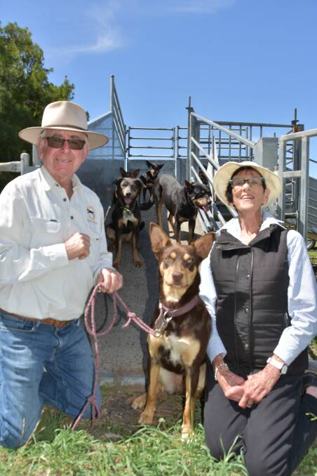 TOP DOGS: Rex and Kay Hocking, Avenue Range - with Minnie, Tabitha, Tom, Beatrix and Lacee - are excited about hosting the 2020 Australian Yard Dog Championship at Lucindale.