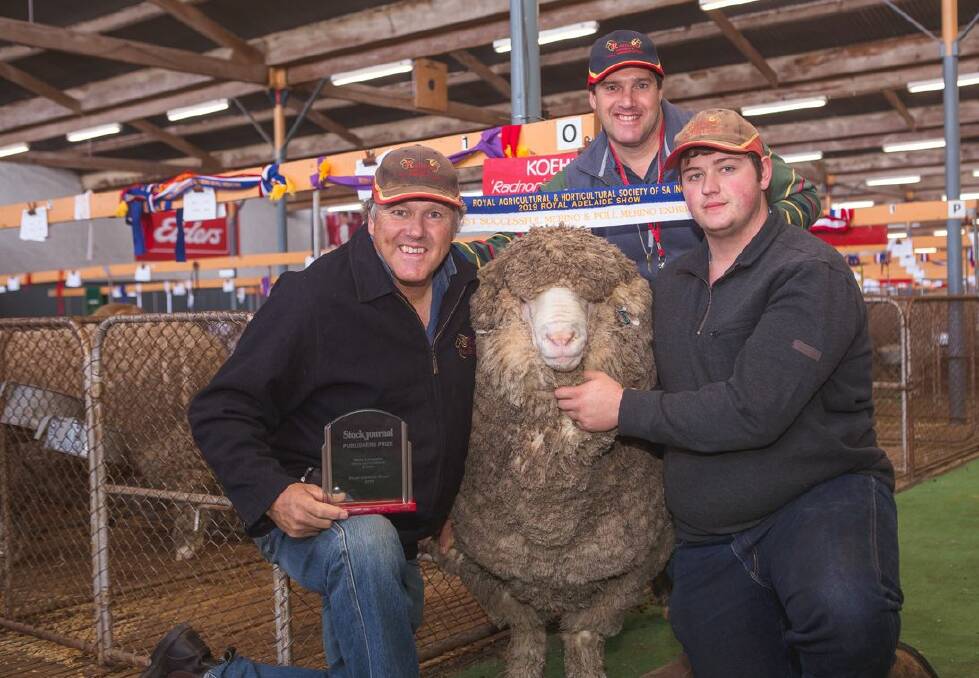 GREAT SUCCESS: Steve, Brett and Ben Koehler (kneeling) Radnor stud, Langhorne Creek, with the Stock Journal trophy for the most successful Merino and Poll Merino exhibitor.