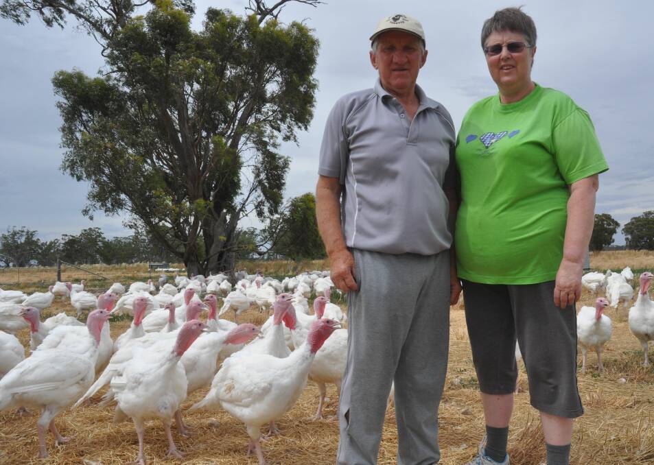 HOLIDAY FAVOURITE: John and Robyn Watson, Pooginagoric Free Range Turkeys, Bordertown, say demand for turkey during the year has surged but consumers still flock to turkey at Christmas. In the 10 days prior to the holiday they will process more than 3000 birds but have many more frozen whole birds produced earlier.