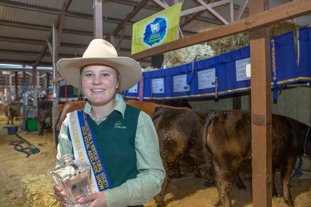 DREAM RUN: Phoebe Eckermann, Aruma Limousin stud, Korunye, was named most successful beef cattle exhibitor with her eight head winning all six broad ribbons.
