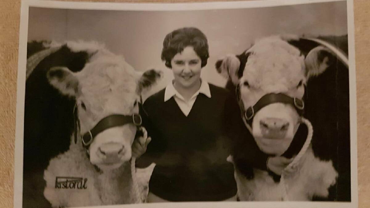 Rosemary Miller (nee Daley) holding two Poll Hereford heifers from Dillowie stud, Hallett.