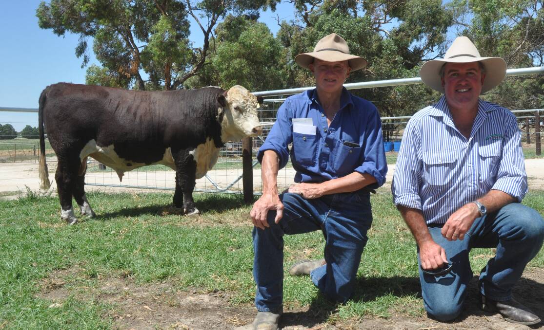 BAROSSA BUY: Alexander Maclachlan, Pewsey Vale with Mark Wilson and the $13,000 equal top Kerlson Pines bull 