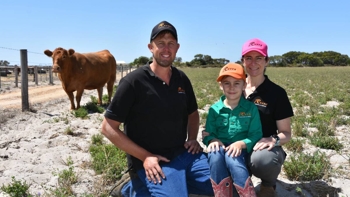 Jason and Penny Schulz and their son Heston offered their Raven Limousin stud online on the weekend but are still negotiating with several potential buyers.