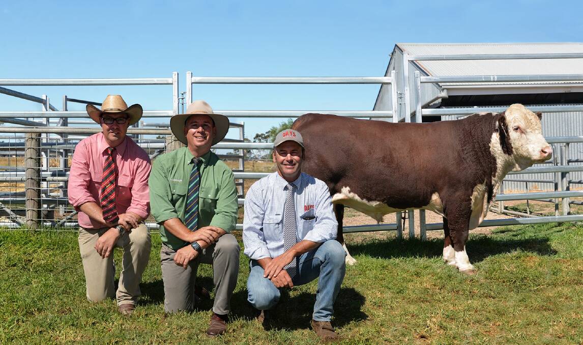 RECORD BREAKER: Elders auctioneer Ross Milne, Landmark auctioneer Gordon Wood and Days Whiteface stud principal Lachy Day with the $26,000 sale topper, Days Horizon M028.