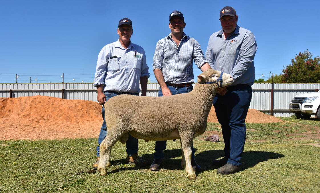 PPHS auctioneer Richard Harvie, Wrattenbullie stud's Brad Davies and SAL Livestock's Matt MacDonald with the $6700 sale topper which sold to the Kester family, Kybybolite. Picture by Catherine Miller