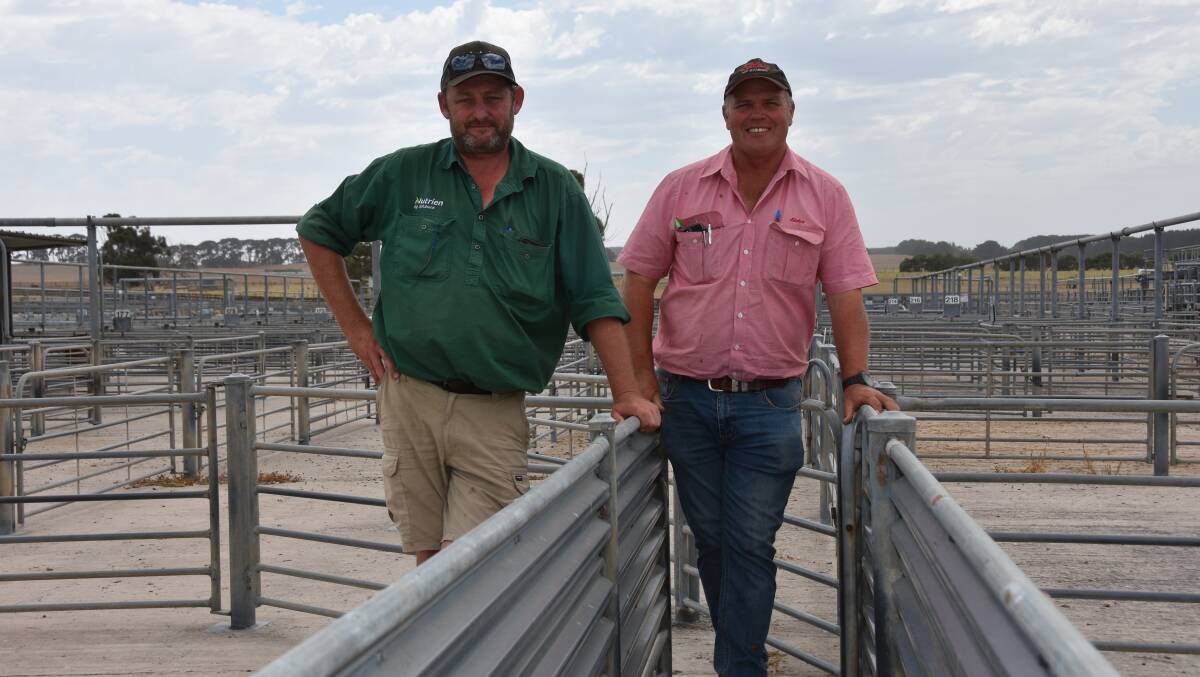 Nutrien Mount Gambier's Sam O'Connor and Elders Mount Gambier's Brad Holdman say the up to $125,000 rebate being offered to the Mount Gambier saleyards is nowhere near enough and are calling for 100 per cent funding. Picture by Catherine Miller