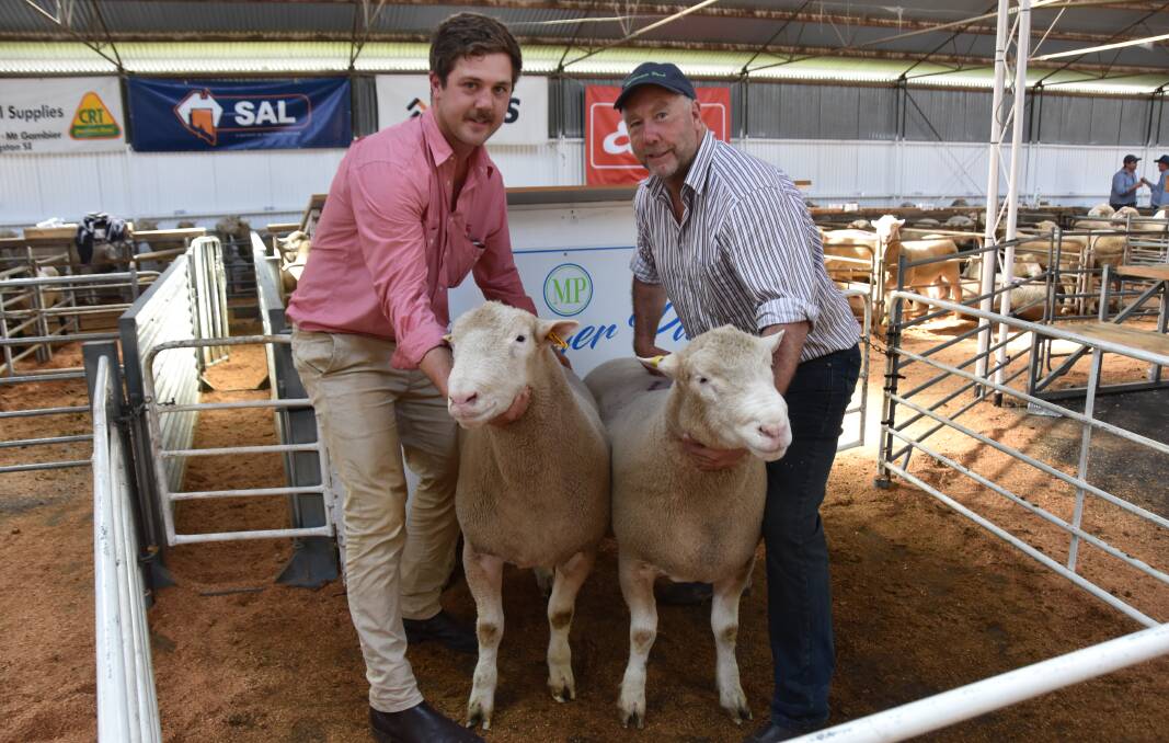 Elders Naracoorte livestock manager Josh Reeves and Mullinger Park stud principal Brett Shepherd with lot 17 and lot 19 Poll Dorsets which both made $3000 to Derby-Vale, Naracoorte.
