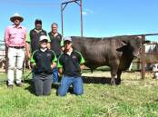Elders Naracoorte's Alan Thomson with Arki stud's Geoff and Kate, Georgina and Sam Buick and their $9500 sale topper. Picture by Catherine Miller