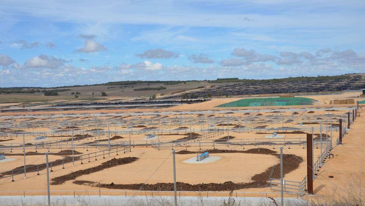 The expanded area at Southern Cross Feedlot will gradually be filled with cattle.