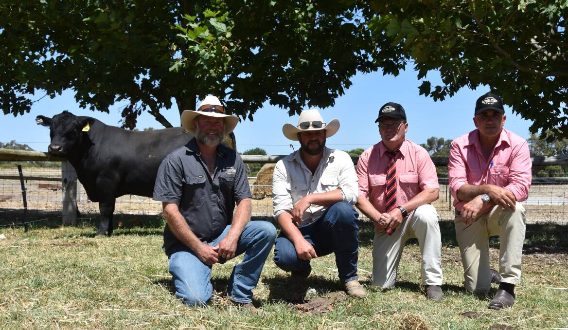 Granite Ridge stud's Scott Finlay and Joel Stuart with Elders' Tony Wetherall and Scott Altschwager with lot 13 which sold for the $20,000 equal top price to Merlewood Angus