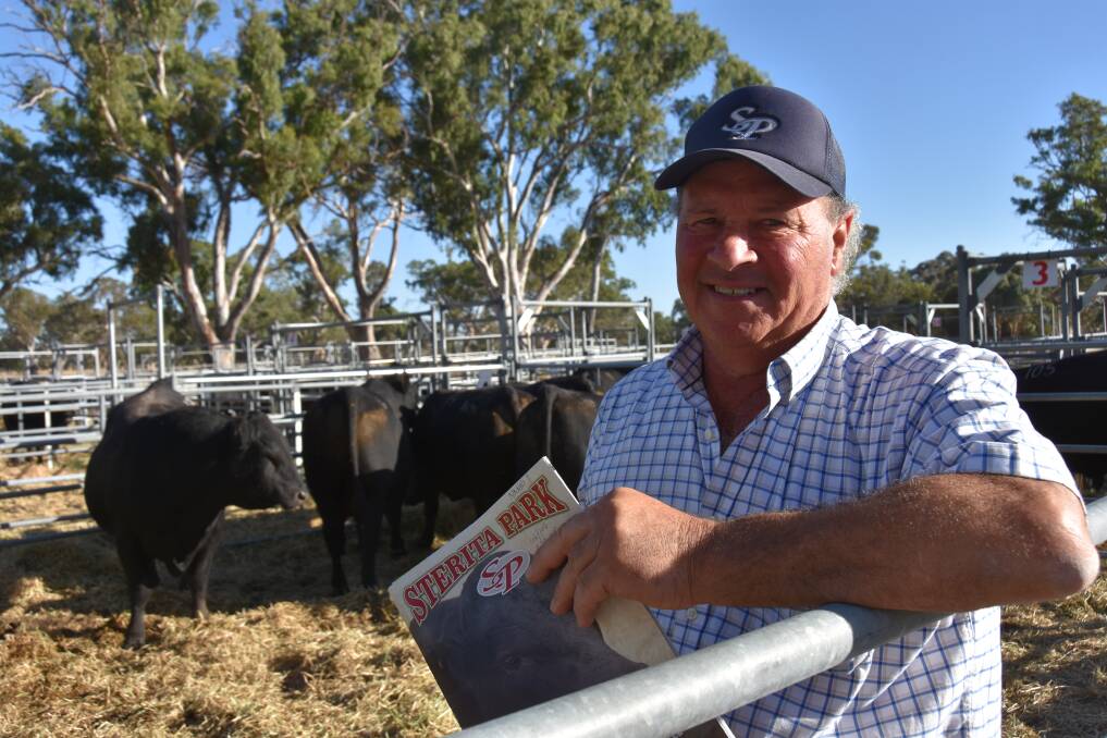 SALE SURPRISE:Sterita Park Angus stud principal Nanni DiGiorgio, Lucindale, had a sale to remember with 106 bulls averaging an astonishing $19,689.
