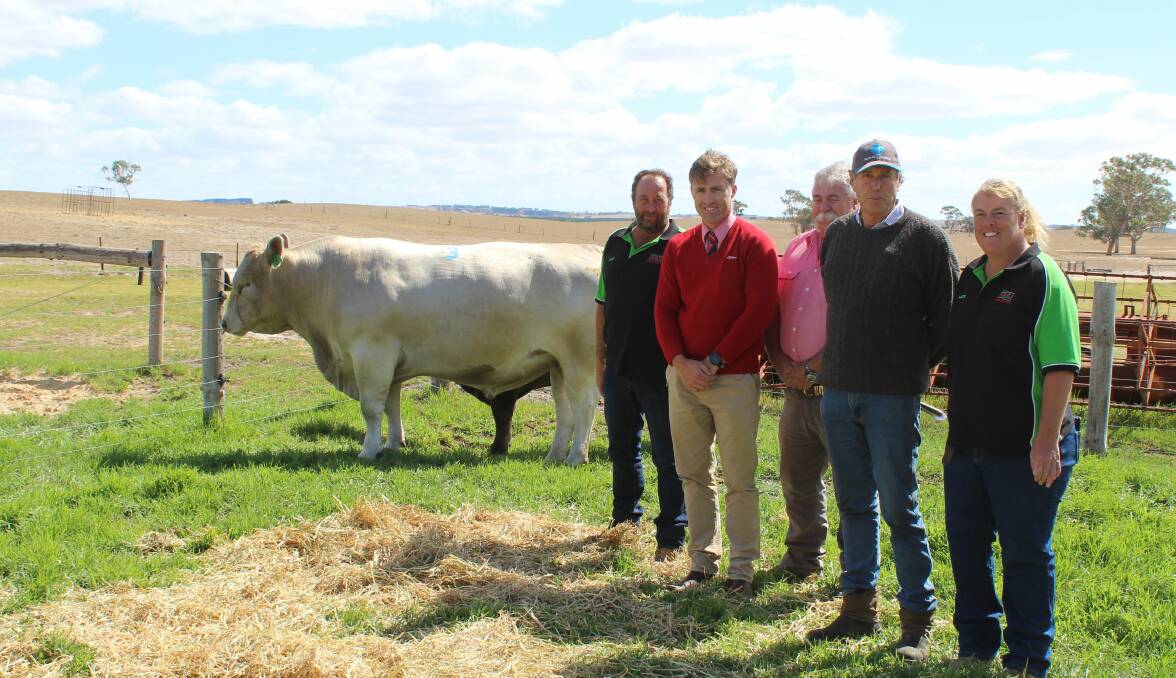 NEW BUYER: Arki stud's Geoff and Kate Buick (far right) , Elders Naracoorte's Tom Dennis and  Elders Horsham's Richard Emerson with client Ian Ross who bought the $6500 sale topper, Arki Not Late N54.