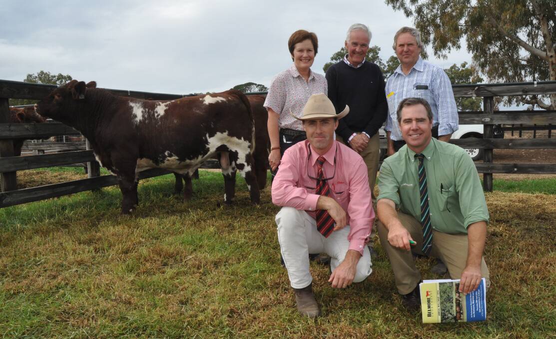 TOP BUY: Amanda and Steve Barlow, Toogimbie stud, Mathoura, NSW with vendor Andy Withers, Elders' Tom Dennis and Landmark's Richard Miller and the $13,000 sale topper.