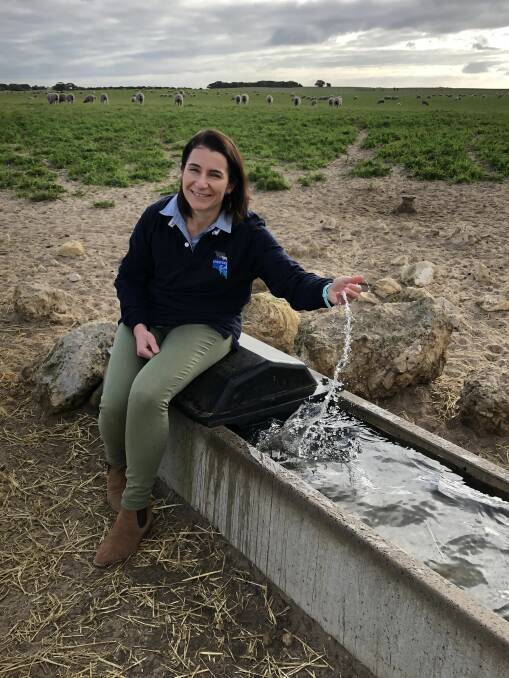 SMART MOVE: Livestock SA vice-president Penny Schulz, Field, says supporting farmers to improve their water security would be a "smart move" for the state government.