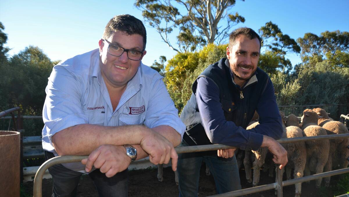 CHANGING TACK: Baderloo stud's Daniel Hammat (right) with Quality Livestock's Dave Whittenbury, discussing the stud's inaugural auction to be held on August 13.