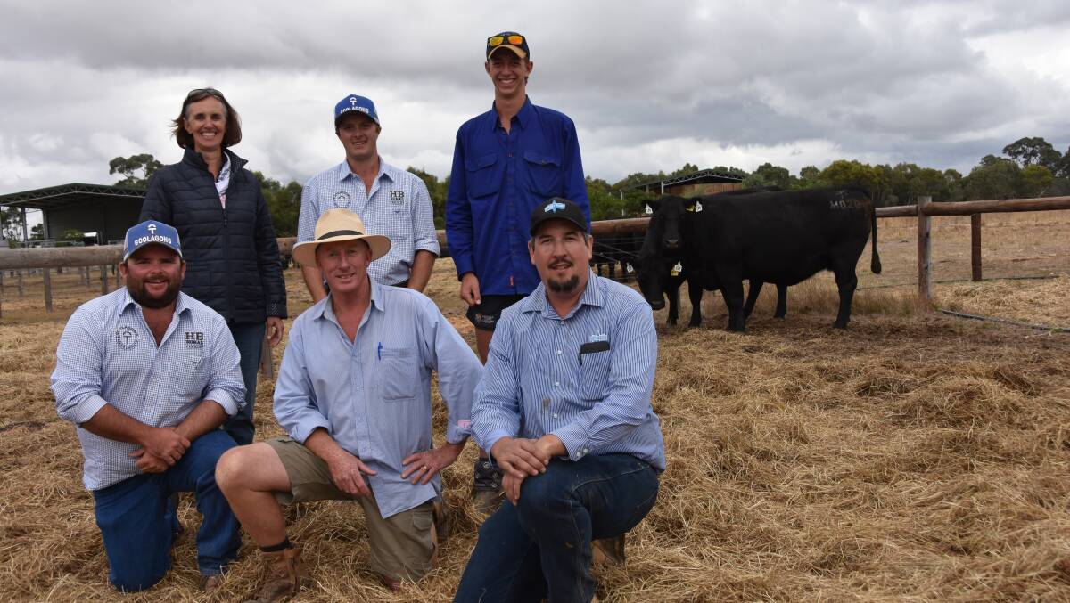 Goolagong and Bayview Black Angus studs paid the $41,000 second highest price at the Stoney Point dispersal last year. Pictured with Stoney Point Yankee Queen M820, are (standing) Bayview stud's Anissa Thompson, Goolagong's Kylen Malycha, Bayview stud's Luke Thompson and (kneeling) Heath Tiller, Goolagong stud, Chris Thompson, Bayview stud and Stoney Point stud manager Peter Colliver.