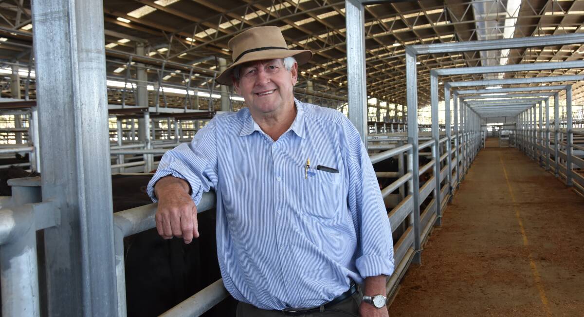 ESTEEMED BUYER: Commission buyer Geoff Wellington has bought livestock in nearly every state of Australia. He has also been an agent and auctioneer, even selling in the first market when the Naracoorte yards relocated in 1973.