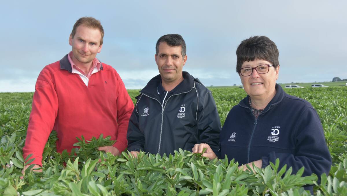 SMART SPRAYING: GRDC Regional Cropping Solutions panel member Adam Hancock, SARDI research officer Mohsen Khani and SARDI senior pulse pathologist Jenny Davidson are involved in a project that aims to help growers make decisions about spraying fungicides in their pulse crops.