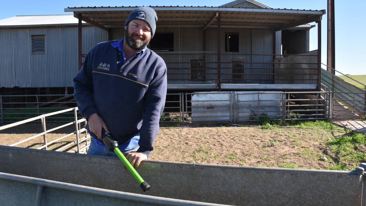 MANAGEMENT TOOL: Chris Lymn, Lymn Farms, Wudinna, has been using sheep eID to identify the variation in his Merino ewe flock and make better decisions.