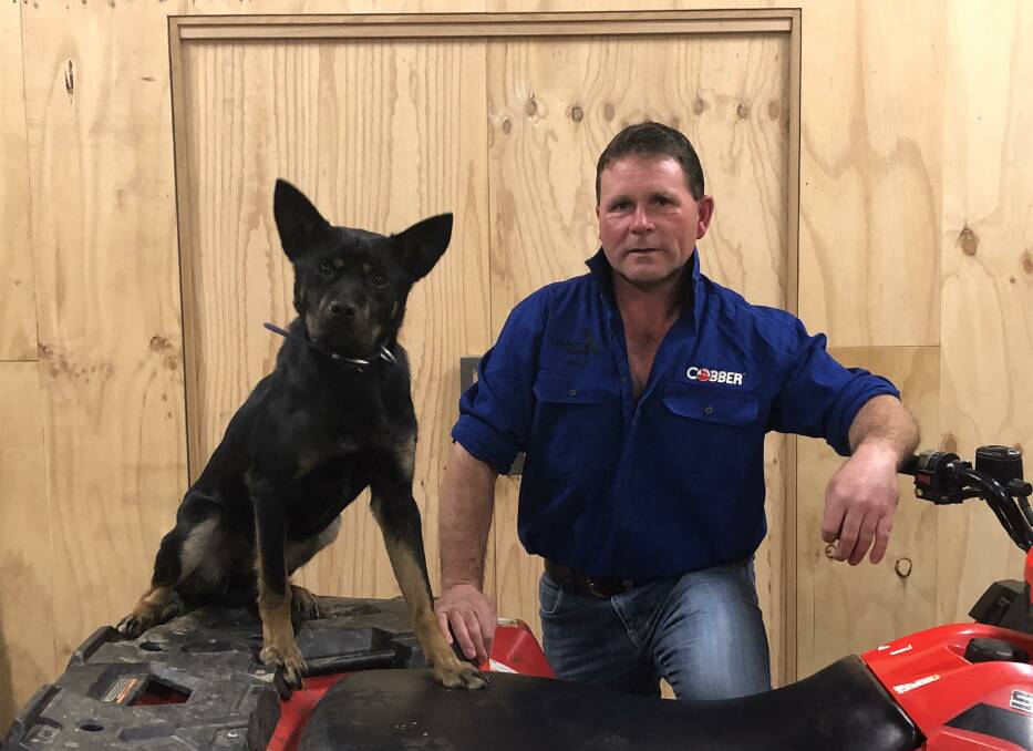 Tas kelpie breeder Matthew Johnson, Exeter is excited about making the trip to Lucindale and offering his dog Diesel. COVID prevented him attending last year.