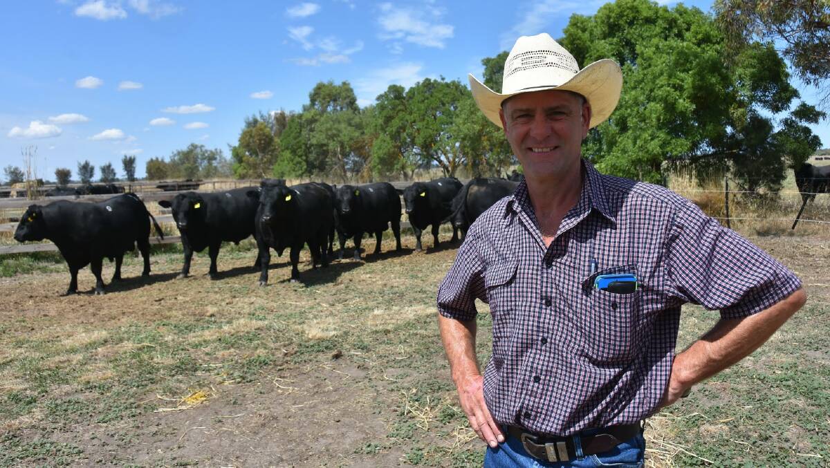 ONLINE SUCCESS: JB Angus stud principal Jock Hislop sold 21 of 26 bulls in his third online helmsman sale.