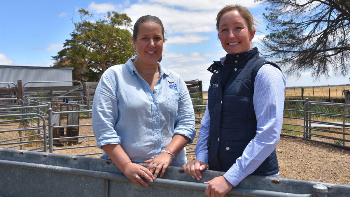 BUILDING INTEREST: Livestock SA's Pene Keynes and Ashlee Carslake-Hunt, Robe, joined the SA Livestock Consultants group in 2021.