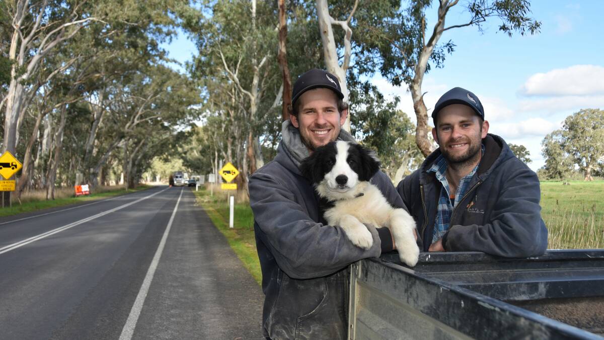 ESSENTIAL TRAVELLERS: Mason Galpin and Ben Brooksby, Warrawindi, Penola, with their dog Otis, say it has not been difficult crossing the SA-Vic border checkpoint at the Penola-Casterton Road with their essential traveller permits.