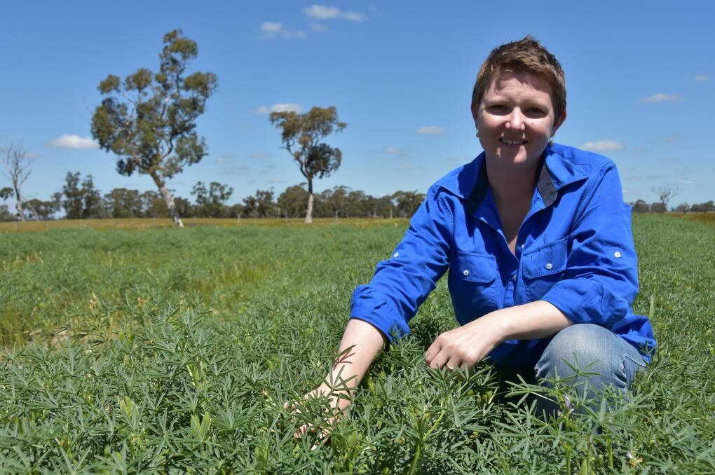 NEW HORIZONS: PIRSA Rural Solutions SA's Melissa Fraser at the Cadgee site, where biomass production differs in the organic matter, clay, spading and nutrition plots. 