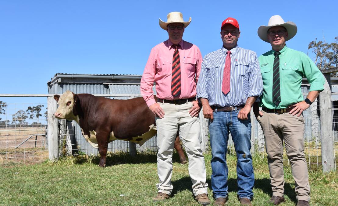 CARCASE QUALITY: Alastair Day, Elders' Ross Milne and Nutrien's Gordon Wood with Allendale's $30,000 highest priced bull which sold to Edendale Pastoral Company, Inverell, NSW.