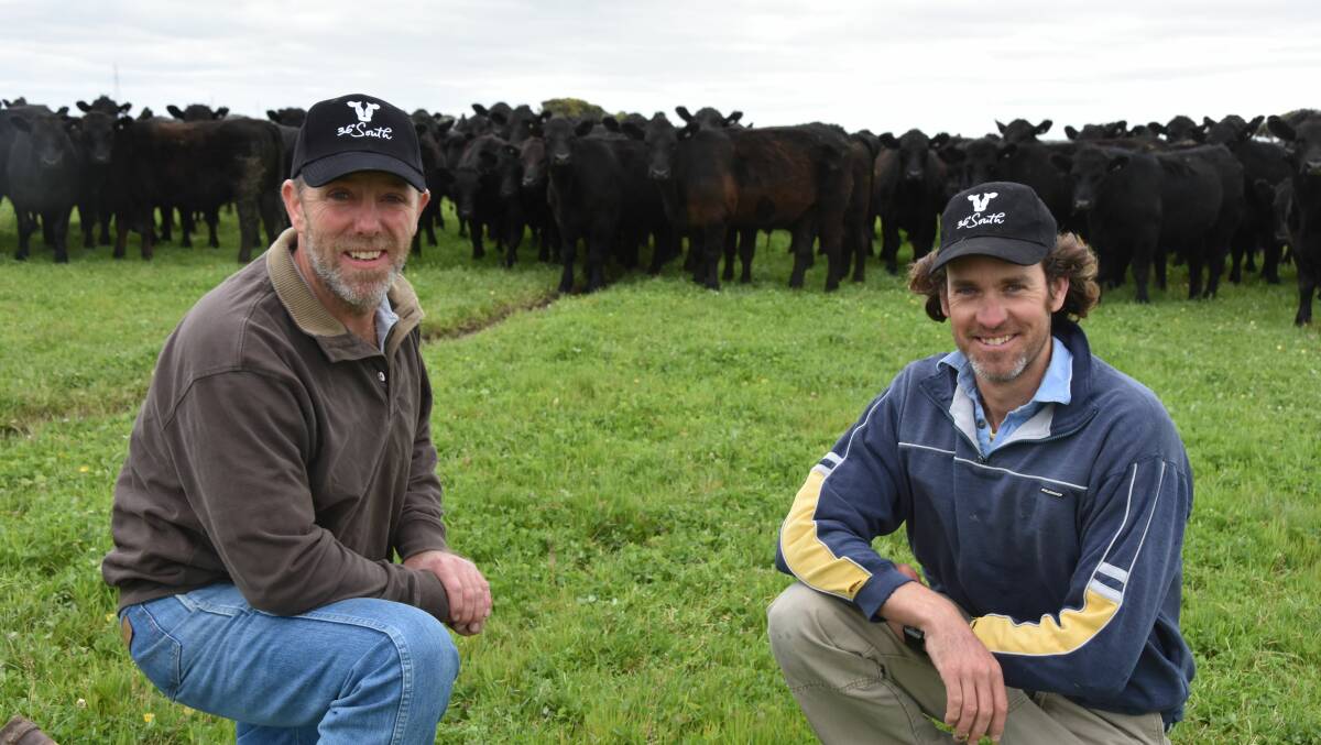 Southern Grassfed Carcase Classic chairman Ben Glatz with Mark Bruce, Keilira, who has these Angus steers earmarked for the competition.