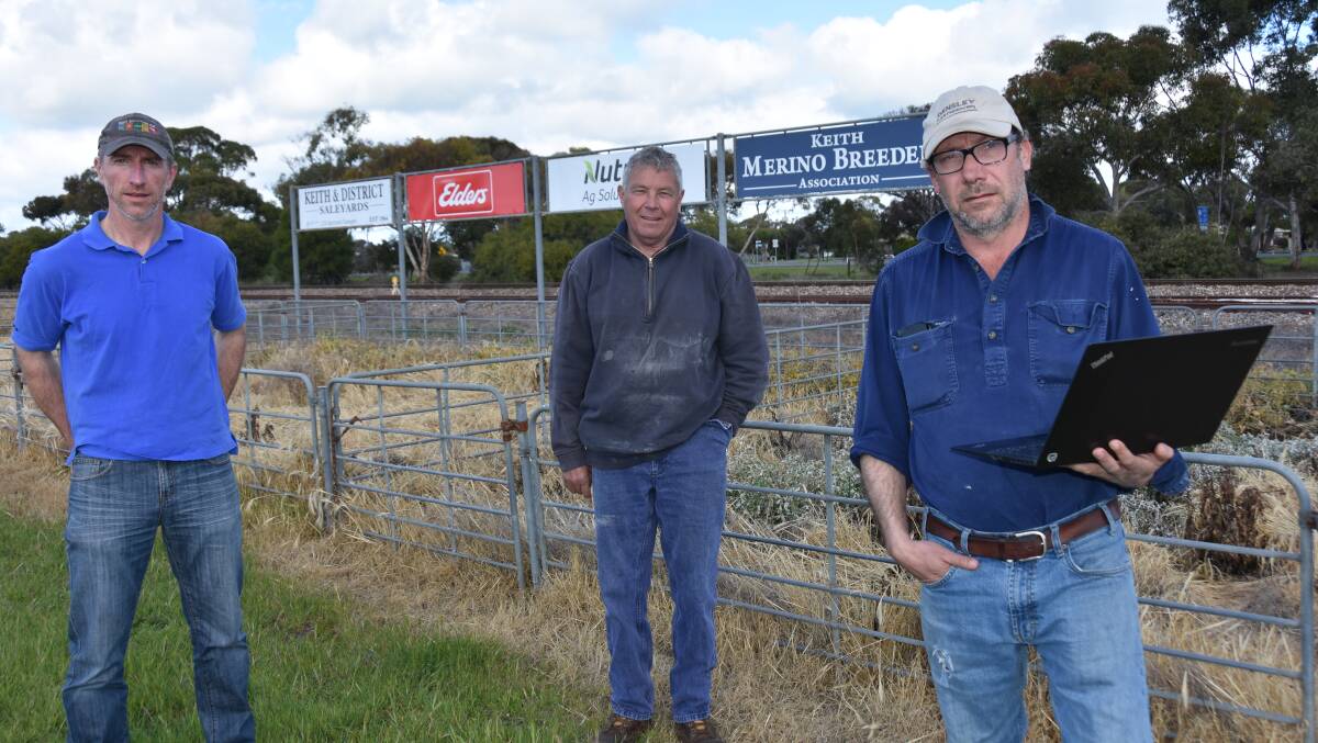 NEW FORMAT: KMBA members Liam McInerney, Michael Allen and Haydn Lines in the Keith saleyards which will remain empty for 2020 with the offshears sale going online.