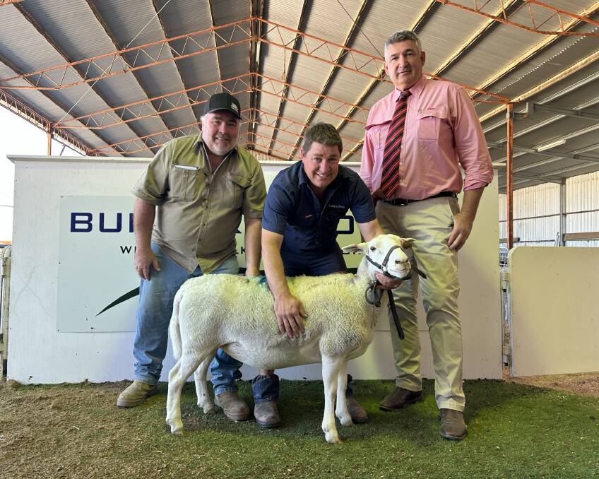 Anna Villa stud's Anthony Ferguson paid the $1500 top price for this UltraWhite ewe being held by Bundara Downs' Greg Funke. Also pictured is Elders auctioneer Laryn Gogel. Picture supplied