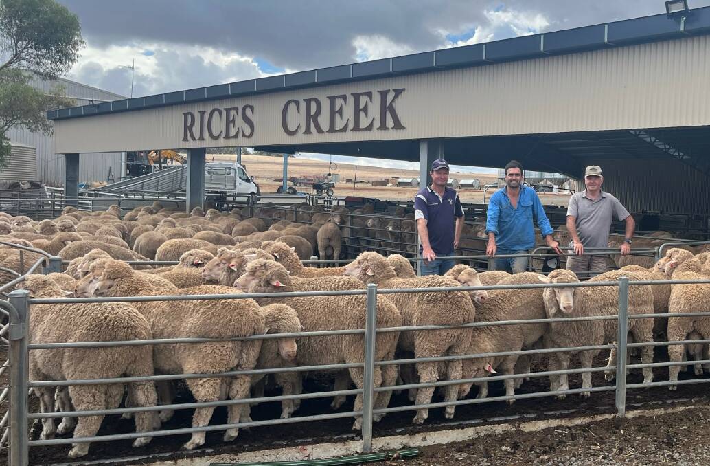 Kym, James and Jim Vandeleur, Rices Creek stud, with some of the Hamilton Run stud ewes at their Saddleworth property. Picture supplied