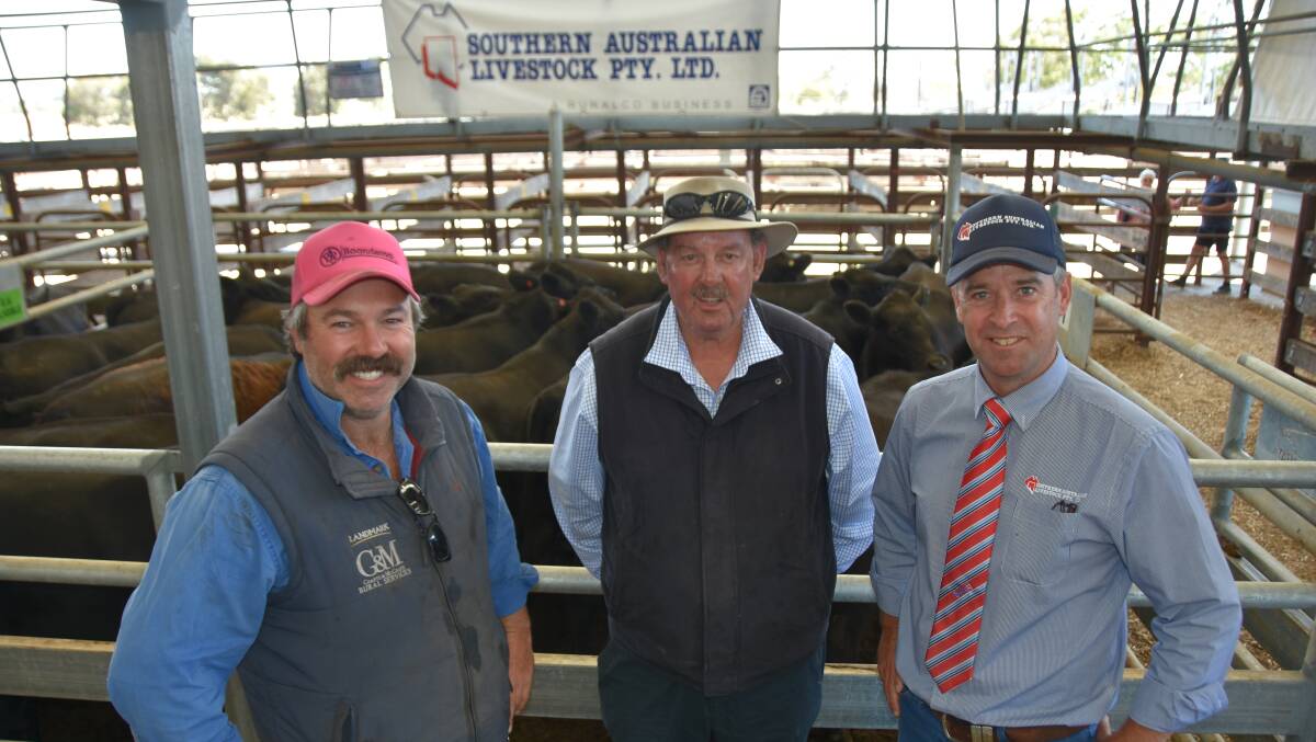 Lachie and Peter Seears, Boonderoo Pastoral Company, Conmurra, with Southern Australian Livestock 's Will Nolan sold the highest price steer weaners at Naracoorte last week. Their 226 February/March 2020-drops topped at $2141 and averaged $1911.